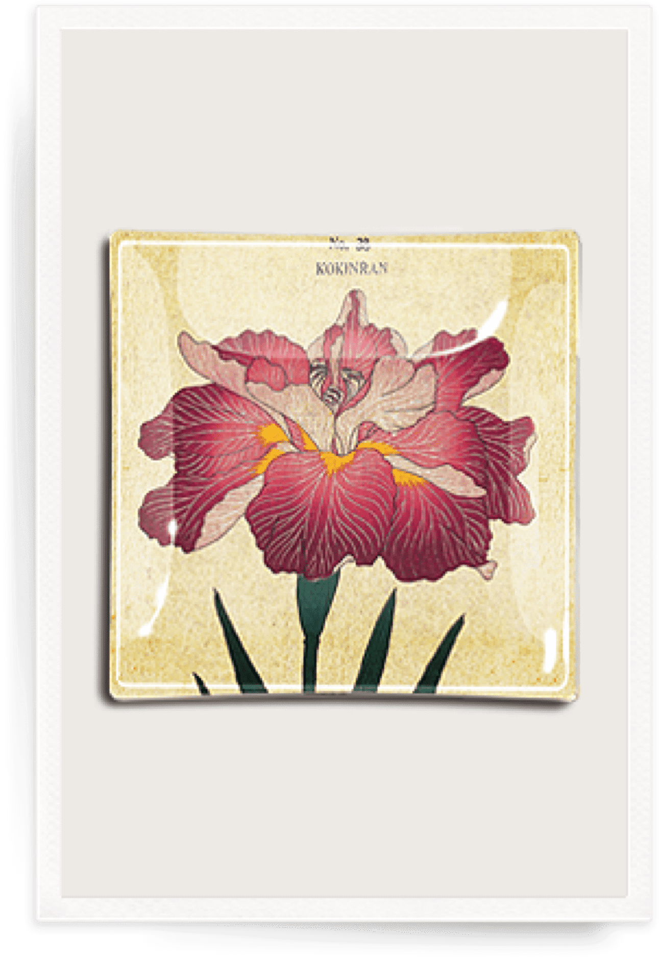 Giclee Painting: Plate 38, 61x46in. (1366x1920), Png Download