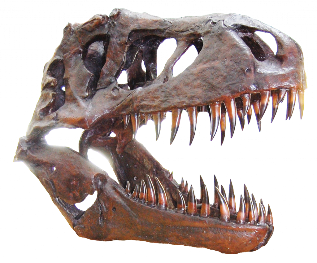 If You Are Interested In A Corporate Sponsorship, Please - Tyrannosaurus (1024x849), Png Download