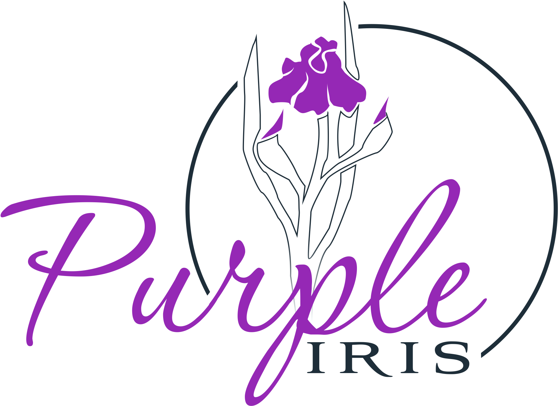 Purple Iris Logo - Brethren Clip Art (2021x1477), Png Download