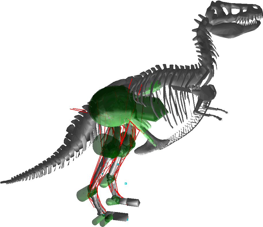 File - Trex - Tyrannosaurus (1242x875), Png Download