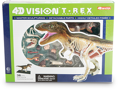 T-rex Anatomy Model - Triceratops 4d Anatomy Model (400x306), Png Download