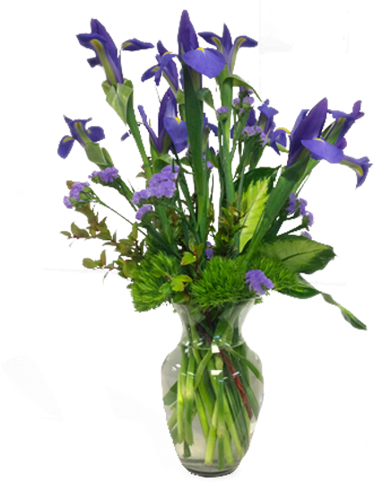 Intriguing Iris - Balloon Flower (600x600), Png Download