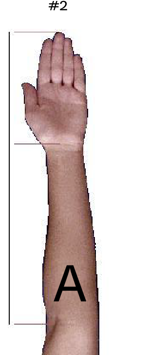 The Reason I Ask Is Because Brendan Schaub Has A Gjj - Wood (401x800), Png Download