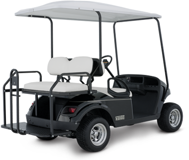 Personal Freedom Txt 2 2 Ezgo Golf Cart Back Passenger - Back Of Golf Cart (447x343), Png Download