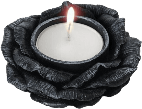 Black Rose Tealight Holder - Alchemy Gothic Black Rose T-light Holder (555x555), Png Download