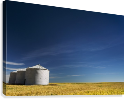 Large Metal Grain Bins In A Barley Field With Blue - Supplier Generic 0743312316719 (429x344), Png Download