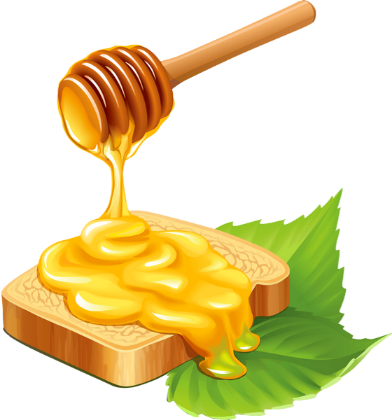 Honey Vector (560x600), Png Download