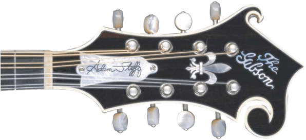 Mandolin Head Stock - Headstock Mandolin Png (623x400), Png Download