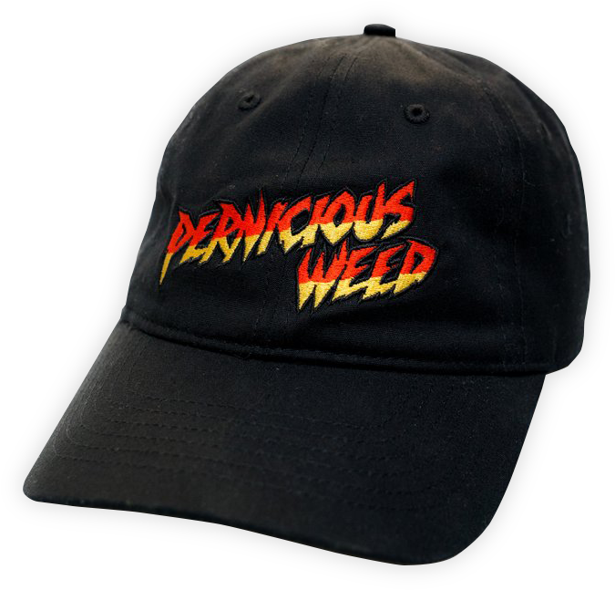 Baseball Cap (972x714), Png Download