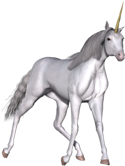 Unicorn (500x595), Png Download