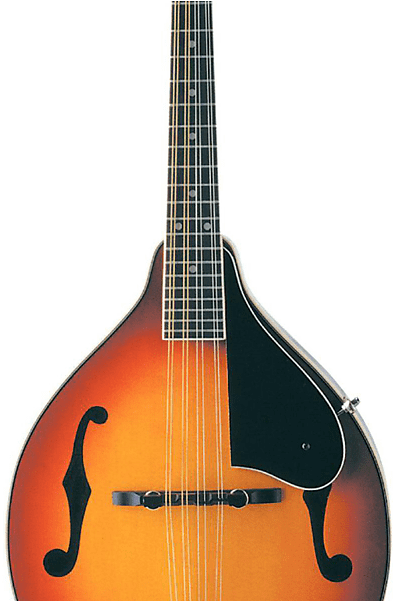 Washburn M1s Americana Series Solid Spruce Top A-style - Washburn M1s Acoustic Mandolin (sunburst) (800x600), Png Download