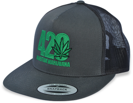 Add To Cart - Flexfit Classic Men Snapback Cap Blue (500x369), Png Download