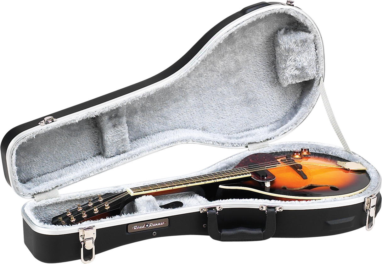Abs Molded Mandolin Case Road Runner Rrmama - Viola (1214x840), Png Download