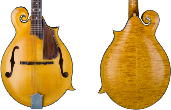 Heiden Stringed Instruments F-style Aritst Mandolin, - Mandolin (600x375), Png Download