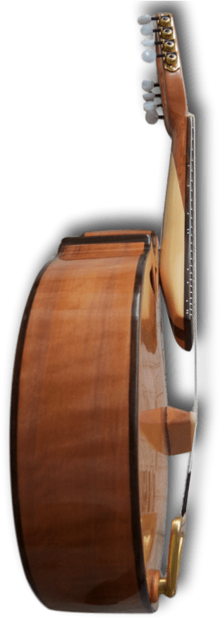 Richard Morgan Lead Mandolin - Mandolin (650x900), Png Download