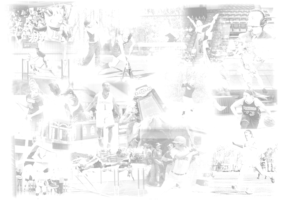 Hive Page (1000x711), Png Download