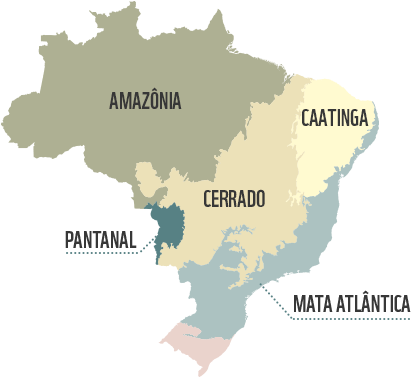 O Bioma - Map Of Brazilian Biomes (486x445), Png Download