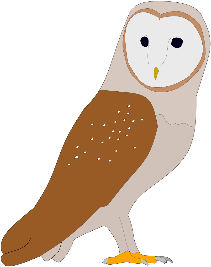 Cheb On Twitter - Screech Owl (960x1200), Png Download
