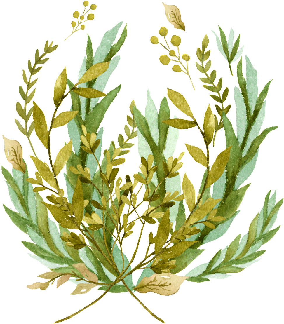Rice Ear Branch Cartoon Transparent - Illustration (1024x1153), Png Download