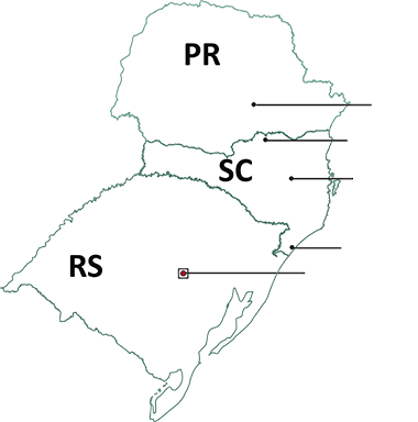 Premium Tabacos Do Brasil - South Region, Brazil (380x384), Png Download