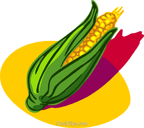 Corn On The Husk Royalty Free Vector Clip Art Illustration - Maize (480x427), Png Download