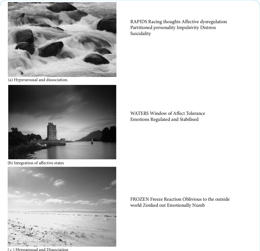 Model Of Altered Levels Of Arousal Dissociation And - Narrow Water Castle (850x821), Png Download