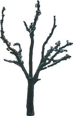 Tree After Siox - Tree Winter (1199x778), Png Download
