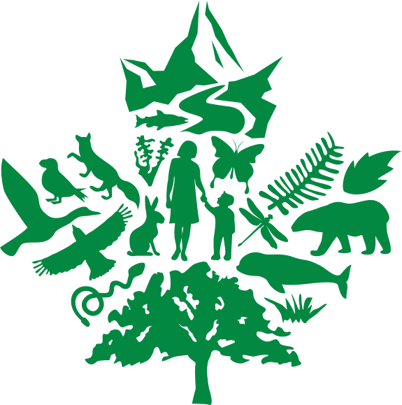 Home - Wetland (575x579), Png Download