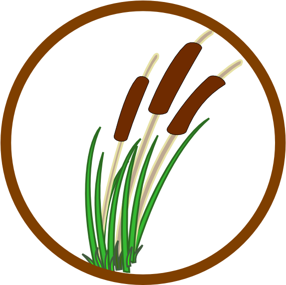 Marsh Clipart (600x571), Png Download