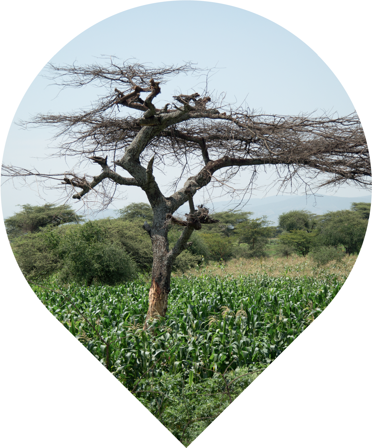 Great Rift Valley (1285x1494), Png Download