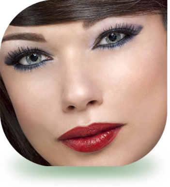 Brush On Adhesive Model - Adhesive (351x386), Png Download