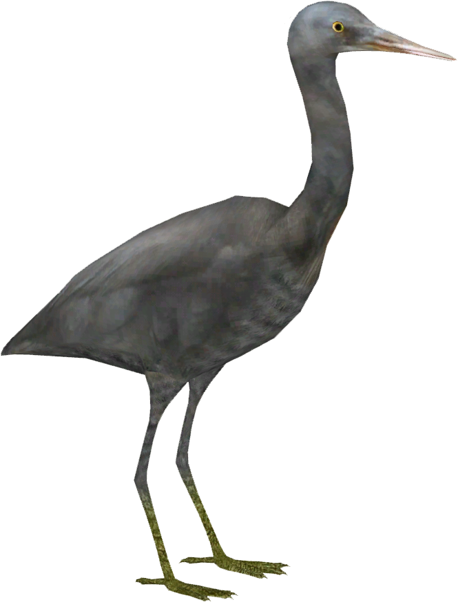 Pacific Reef Heron - Heron (874x874), Png Download