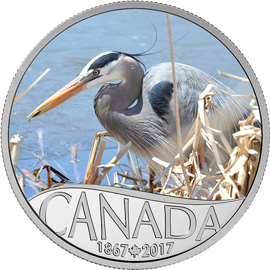 Pure Silver Coloured Coin Celebrating Canada's 150th - 2017 Fine Silver 10 Dollar Coin - Celebrating Canada's (570x570), Png Download