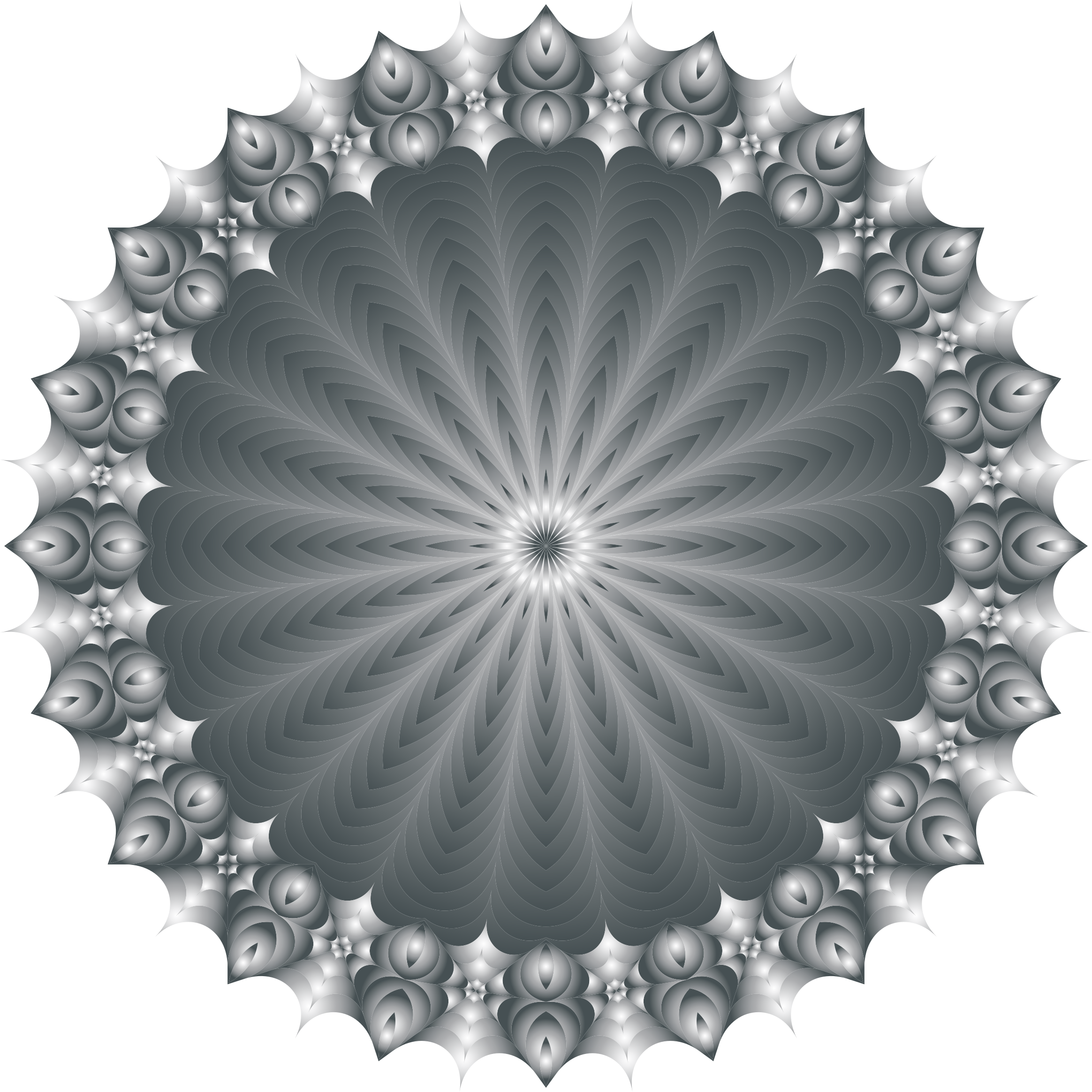 Big Image - Circle (2328x2328), Png Download