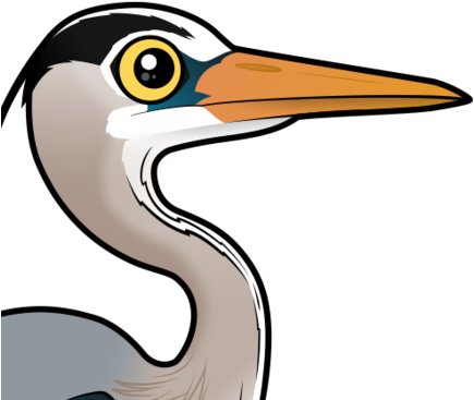 About The Great Blue Heron - Heron (440x440), Png Download