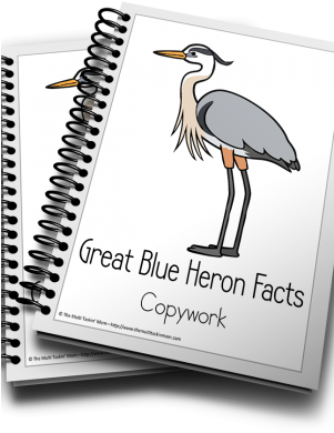 Great Blue Heron Color And Copywork - Income Tax School Certificate (300x457), Png Download