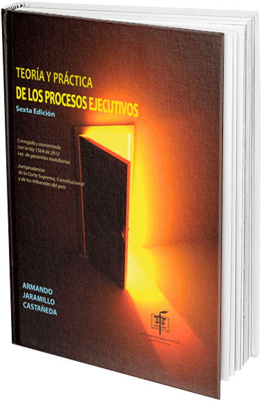 Teoria Y Practica De Los Procesos Ejecutivos 6ta - Theory (600x688), Png Download