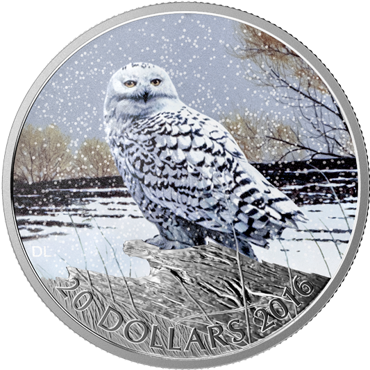 Picture Of - Silver Snowy Owl Coin (570x570), Png Download