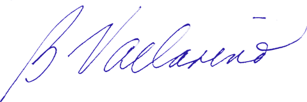Bv Signature Blue - Signature Png Transparent Blue (997x332), Png Download