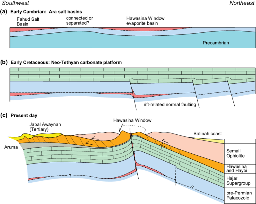 Simplified Cartoon To Illustrate One Possible Origin - Cambrian (850x680), Png Download