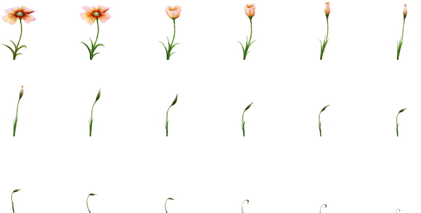 Plant (1536x768), Png Download