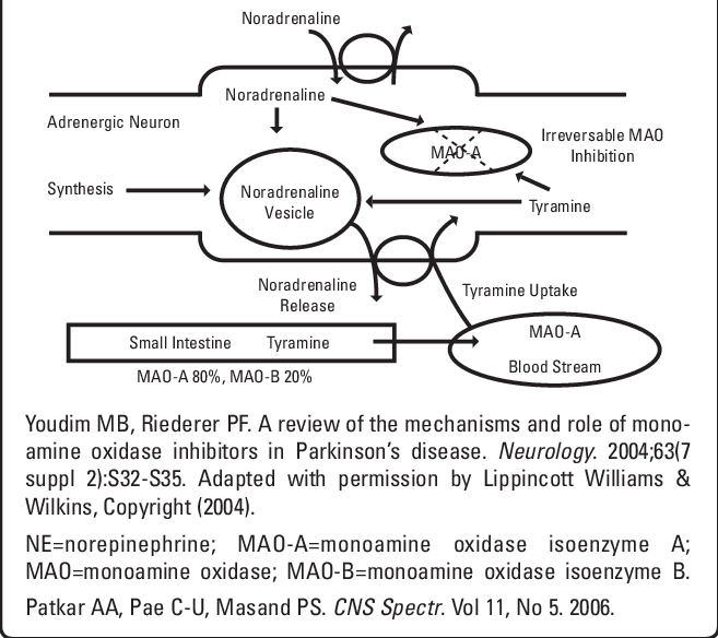 The Mechanism Of The Cheese Reaction And Ne Release - Circle (657x584), Png Download