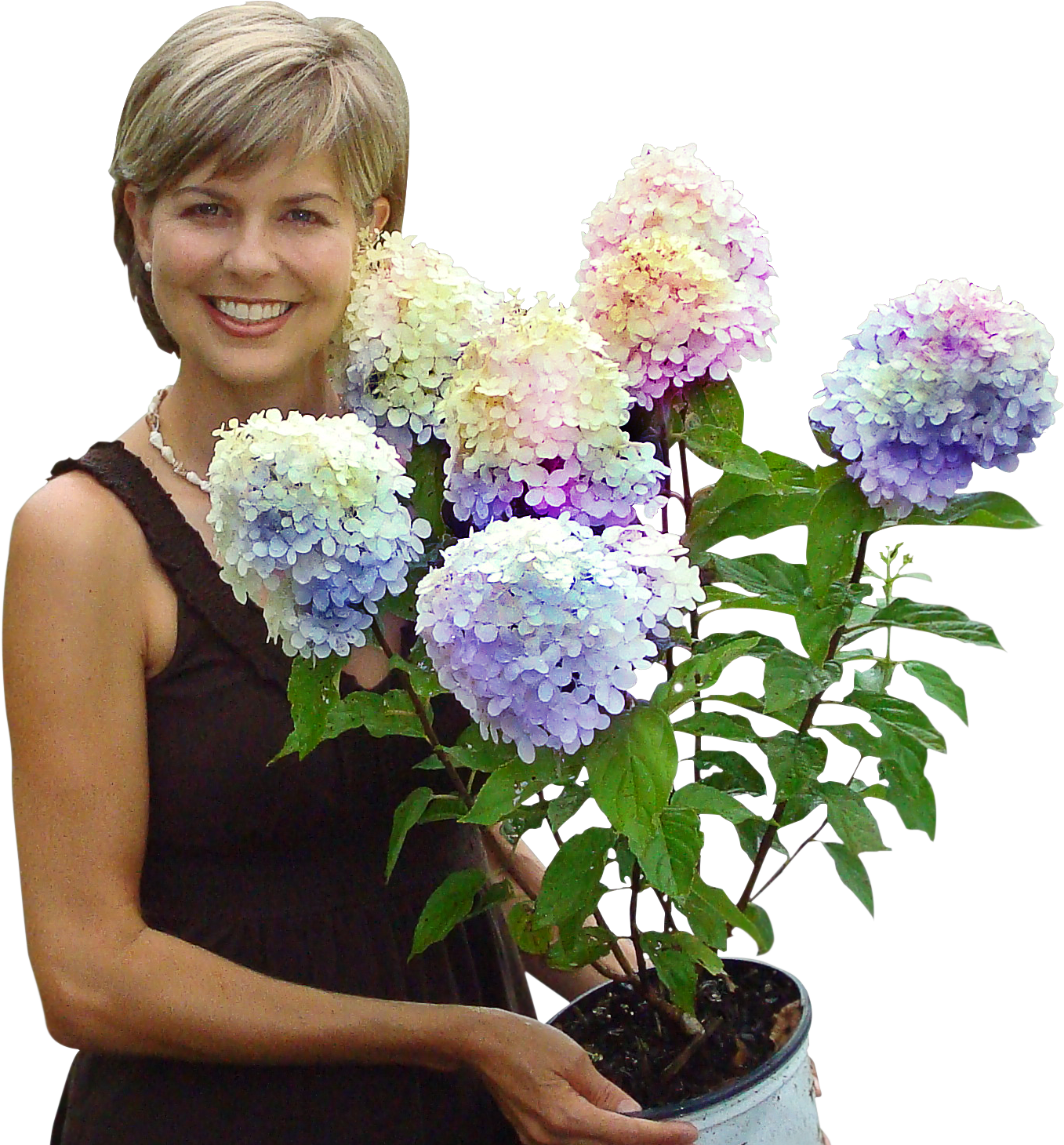 About Us - Fast Growing Trees, Llc (1444x1518), Png Download