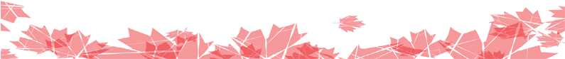 Bottom-overlay - Bottom Border Image Png (1020x210), Png Download