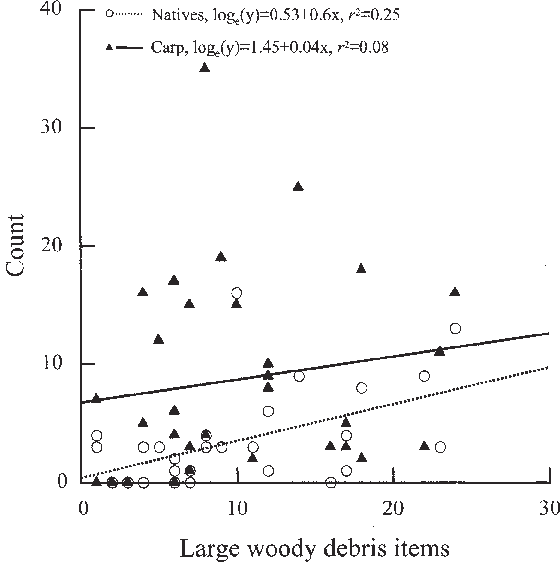 Relationship Between Carp And Large Woody Debris (lwd) - Plot (560x562), Png Download