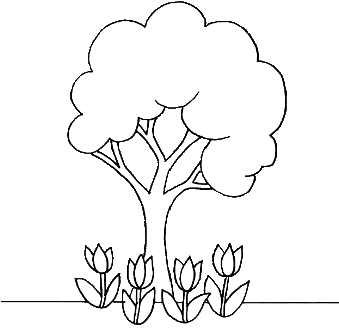Árbol Y Flores - Tree Coloring Page (675x670), Png Download