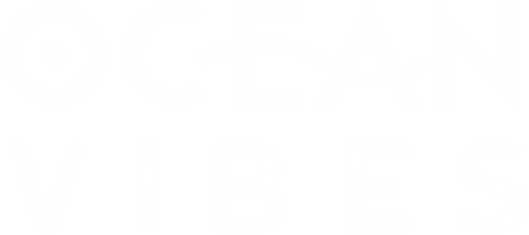 Black Friday Offer - Ocean Vibes Scuba & Watersports (1065x474), Png Download