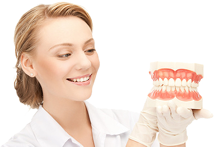 En Nuestras Clínicas Contamos Con Odontólogos Especialistas - Dentist Doctor Png (439x302), Png Download