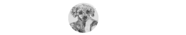 Epic Fail - Claire Scovell Lazebnik (774x164), Png Download