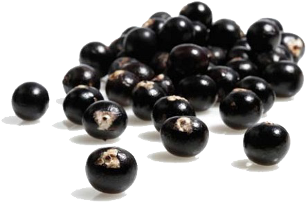 Because Mainstream Brands Have Not Included Acai Berry - Natrol Acai Berry Diet Original (470x320), Png Download